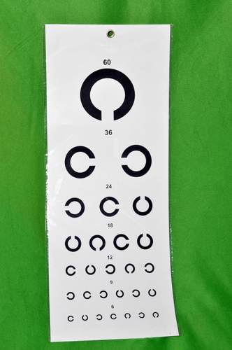 Plastic Vision  Charts