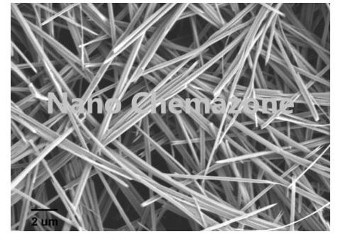 Magnesium Oxide Nanowire