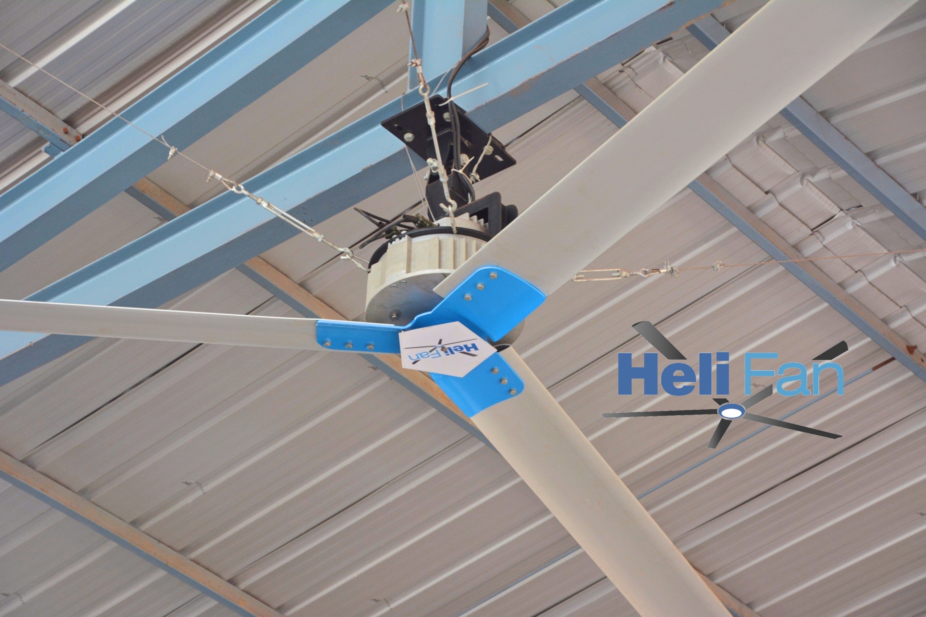 Helifan Of 8 Feet Diameter To 24 Feet Bldc Motor Blade Material: Aluminium