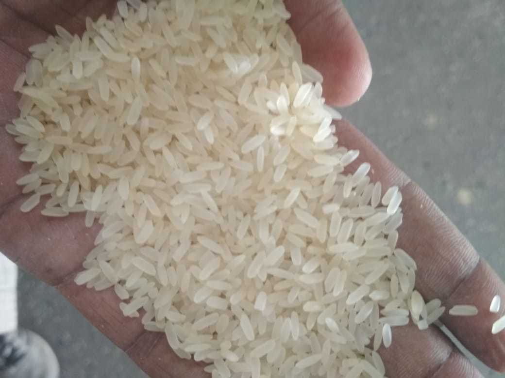 Ir 36 Rice