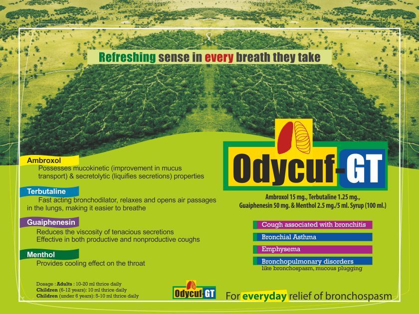 Bromhexine-guaiphenesin-terbutaline-menthol Liquid - 4 Mg, 50 Mg, 1.25 Mg, 2.5 Mg Per 5 Ml | Improves Breathing Disorders, Relieves Cough