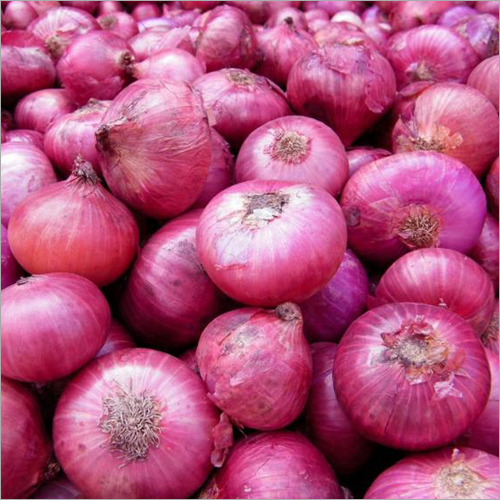 Red Onion - Organic, 4 Months Shelf Life | Rich In Antioxidants, Supports Immune System, Enhances Flavor In Culinary Dishes