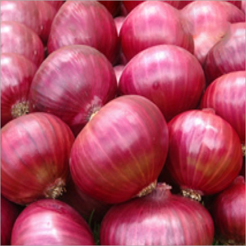 Red Onion - Organic, 4 Months Shelf Life | Rich In Antioxidants, Supports Immune System, Enhances Flavor In Culinary Dishes