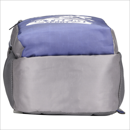 Blue Polyester School Printed Bag