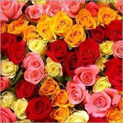 Edible Colors