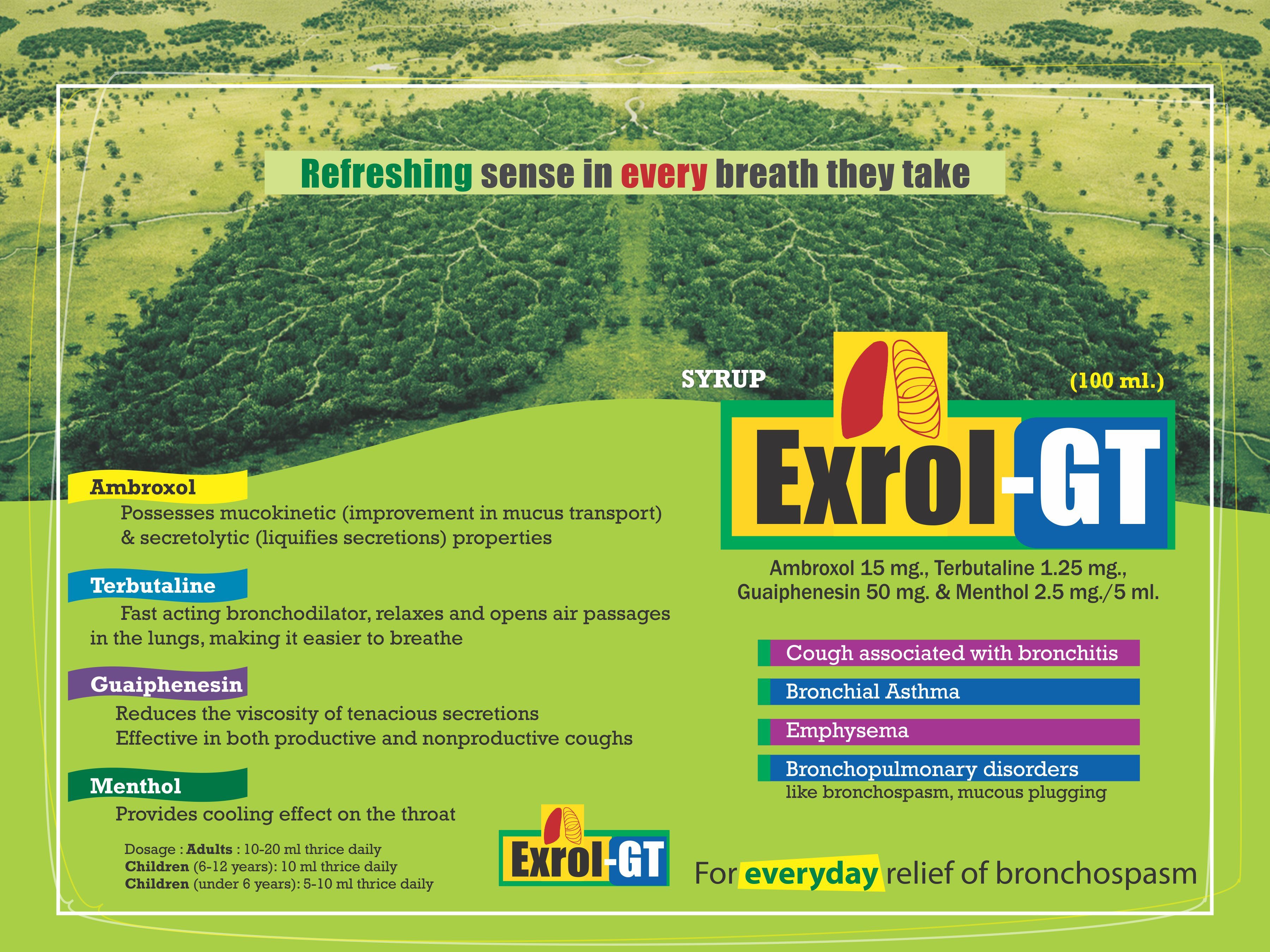 Ambroxol 15 Mg,guaiphenesin 50 Mg,terbutaline 1.25 Mg & Menthol 2.5 Mg Per 5 Ml Drug Solutions