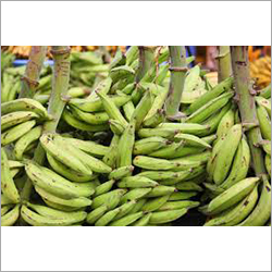Raw Plantain