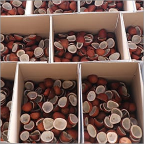 आधा कोप्रा नारियल