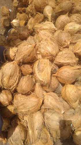Semi Husked Coconut - Variable Size, Bulk Packaging | Fresh Natural Quality, Sustainably Sourced, Ready to Use, Versatile and Convenient