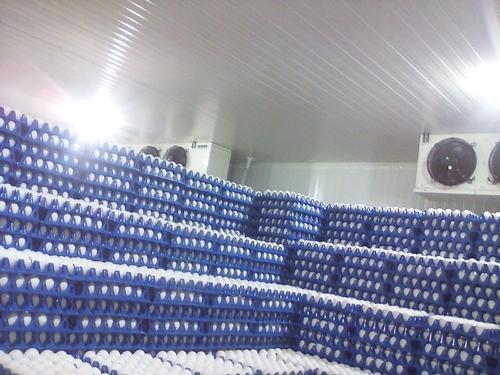 अंडे के भंडारण कमरा