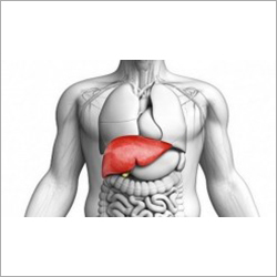 Liver Herbal Drops Recommended For: All