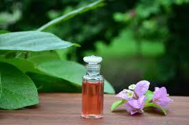 कुमकुमाडी ऑयल एज ग्रुप: ऑल एज ग्रुप