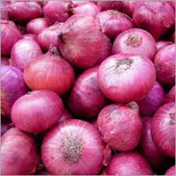 Red Onion - 1.1g Protein, 12% Vitamin C, 0.1g Total Fat, 2% Calcium | Shelf Life: 1-2 Months, Versatile for Raw Consumption in Salads
