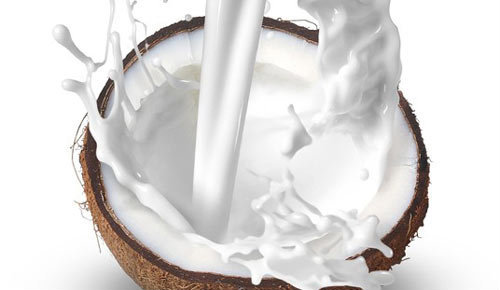 Coconut Milk (Chaokoh) Packaging: Can (Tinned)
