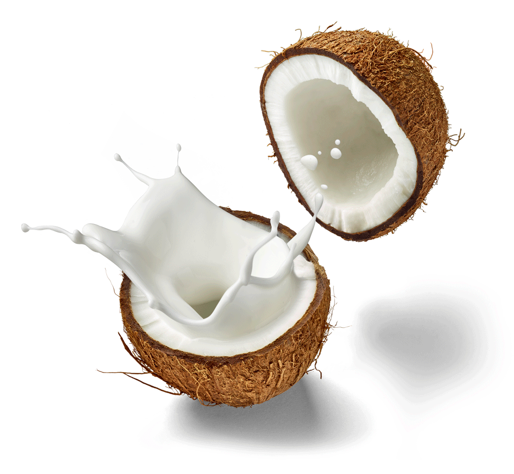 Coconut Milk - Freshly Grated Coconut Meat Expressed, Perfect For Curries And Desserts