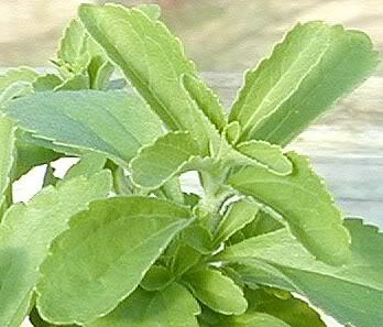 स्टेवियोसाइड शुगर