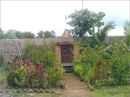 कोयला और कोक