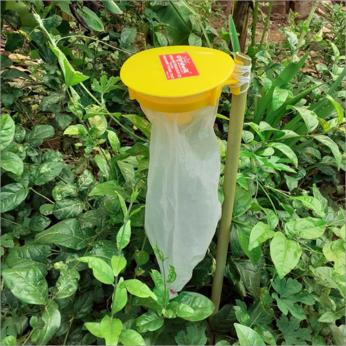 गुडविल फेरोमोन ट्रैप