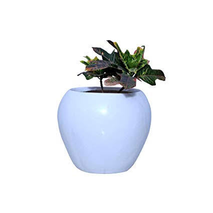 Flower Vase