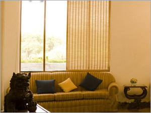 Decorative Household Paints