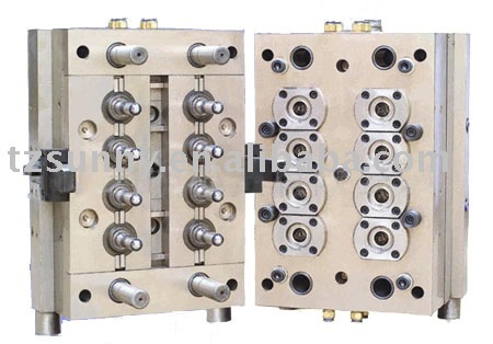 Pet Preform Mold