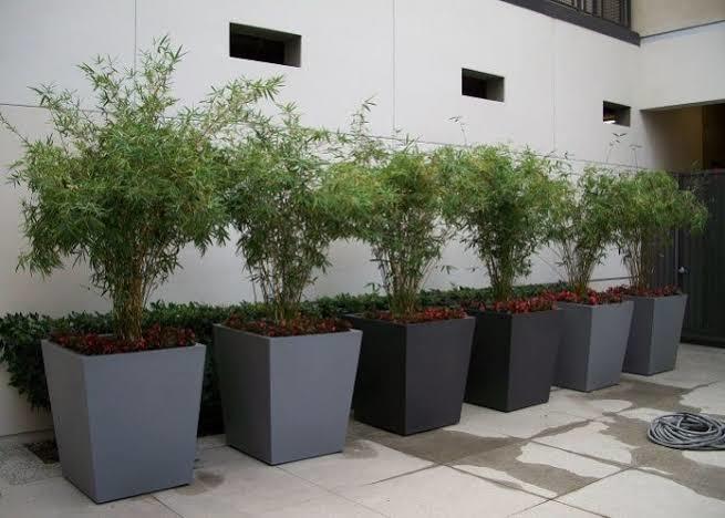 Fiberglass Planter - Durable Lightweight Design | Self-watering Feature, Versatile For Restaurants, Malls, Hotels, Parks, Hospitals, Available In White, Black, Red, Yellow