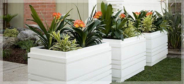 Fiberglass Planter - Durable Lightweight Design | Self-watering Feature, Versatile For Restaurants, Malls, Hotels, Parks, Hospitals, Available In White, Black, Red, Yellow
