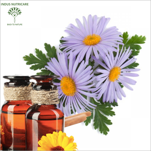 Blue Chamomile Oil Purity: 100 %