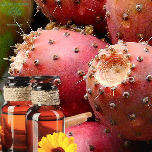 Cactus Seed Oil - Liquid, 100% Organic | Deeply Moisturizes, Restores Elasticity, Prevents Wrinkles, Brightens Dark Spots