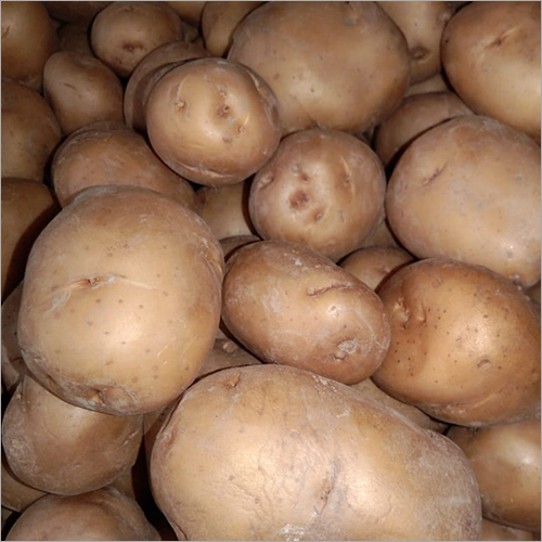 Organic Potato Moisture (%): 99%