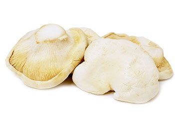 Abalone Mushroom - Chopped In Natural Brine | Long Shelf Life, Easy To Use, No Added Harmful Compounds