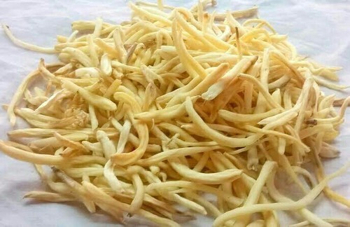 सफेद मुसली सूखे अर्क