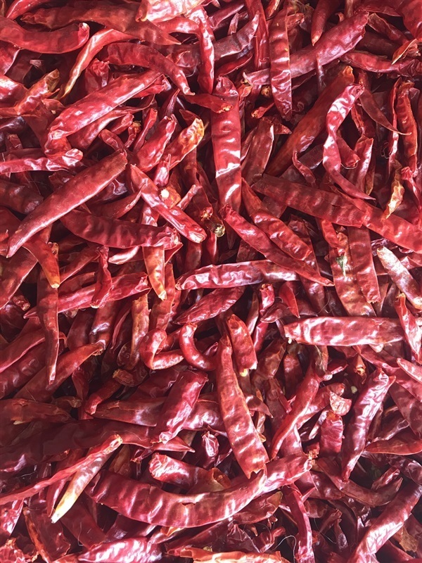 Red Chili / Chili Powder (Raitip) Packaging: Mason Jar