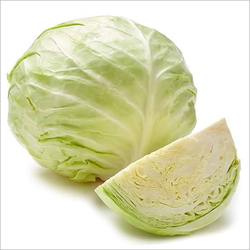 Fresh Cabbage
