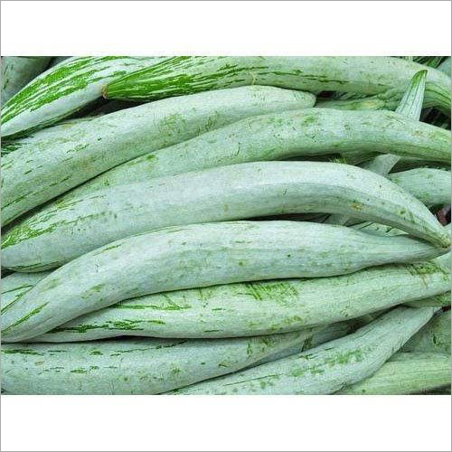 Fresh Snake Gourd - 12-18 Inches Long, Green Color | Firm, Crisp Texture, Mild and Slightly Sweet Taste