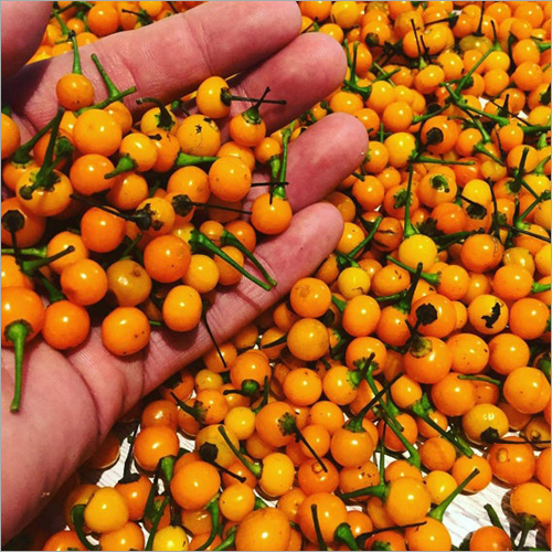 Dry Aji Charapita
