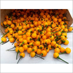 Aji Charapita Pepper
