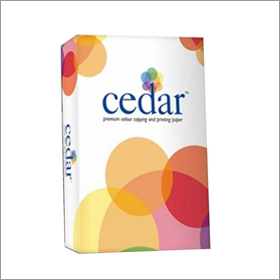 DO Paper - Standard Rectangular Pieces | Good Quality for Office Use, Online Payment Accepted
