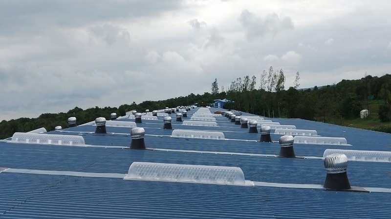 Brilantor Daylight System - Color: Transparent