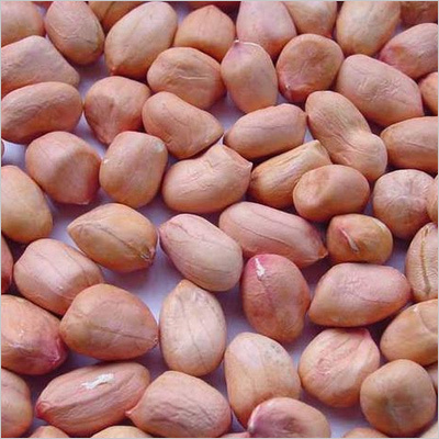 मूँगफली के बीज