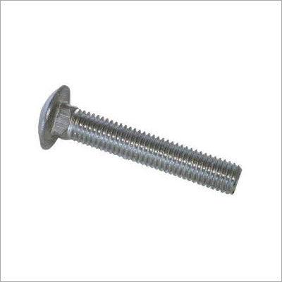 SS Carriage Bolt
