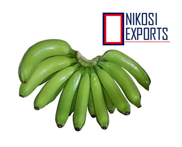 G9 Banana - Long & Round, 2 Kilograms | Sweet Taste, Attractive Yellowish Green Color, High Shelf Life Of 3 Weeks, Non-glutinous Variety