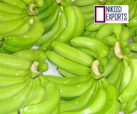 G9 Banana - Long & Round, 2 Kilograms | Sweet Taste, Attractive Yellowish Green Color, High Shelf Life Of 3 Weeks, Non-glutinous Variety