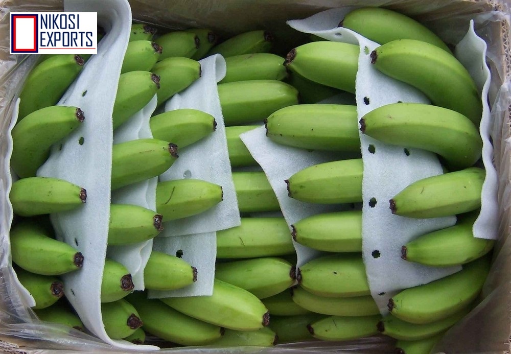 G9 Banana - Long & Round, 2 Kilograms | Sweet Taste, Attractive Yellowish Green Color, High Shelf Life Of 3 Weeks, Non-glutinous Variety