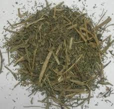 Pitpapada Extract