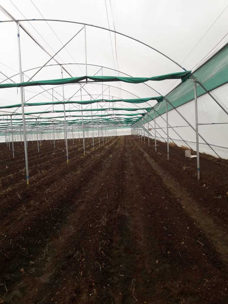 Poly Tunnel - Cover Material: Film