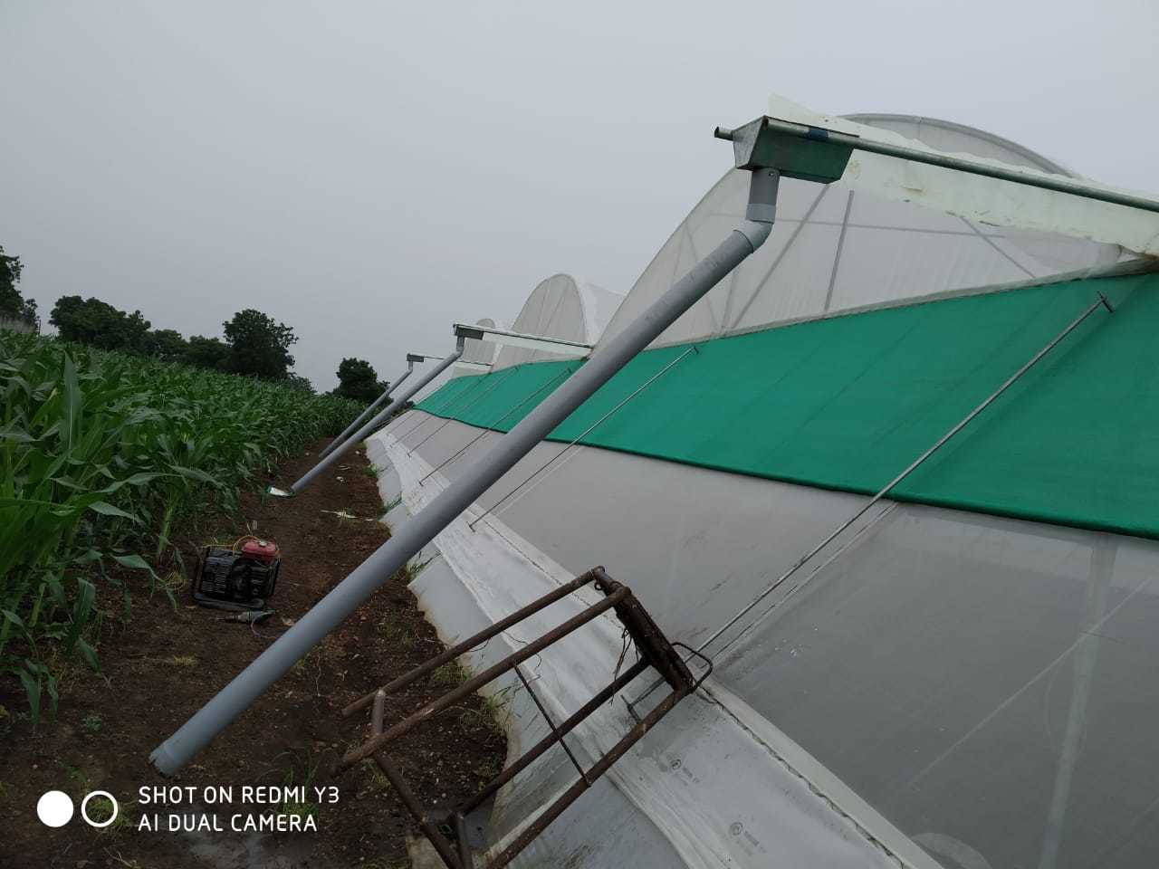 Poly Tunnel - Cover Material: Film