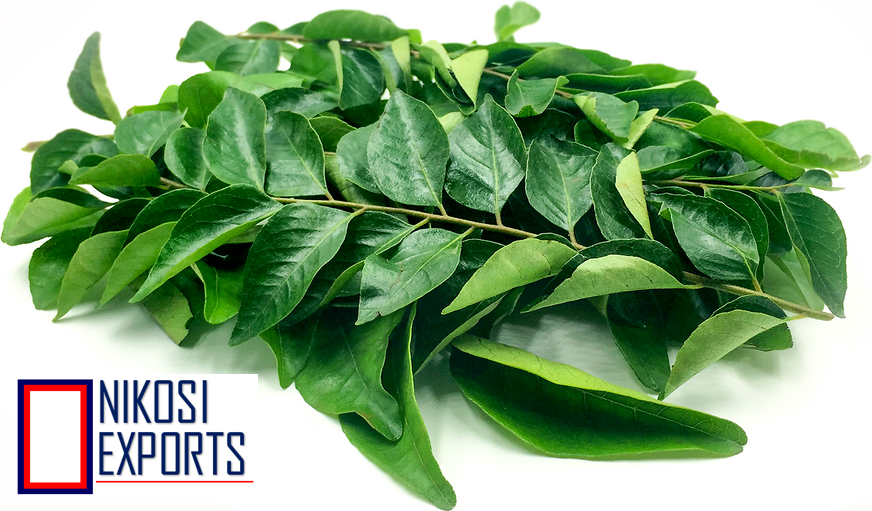 Organic Curry Leaf Shelf Life: 1 Week
