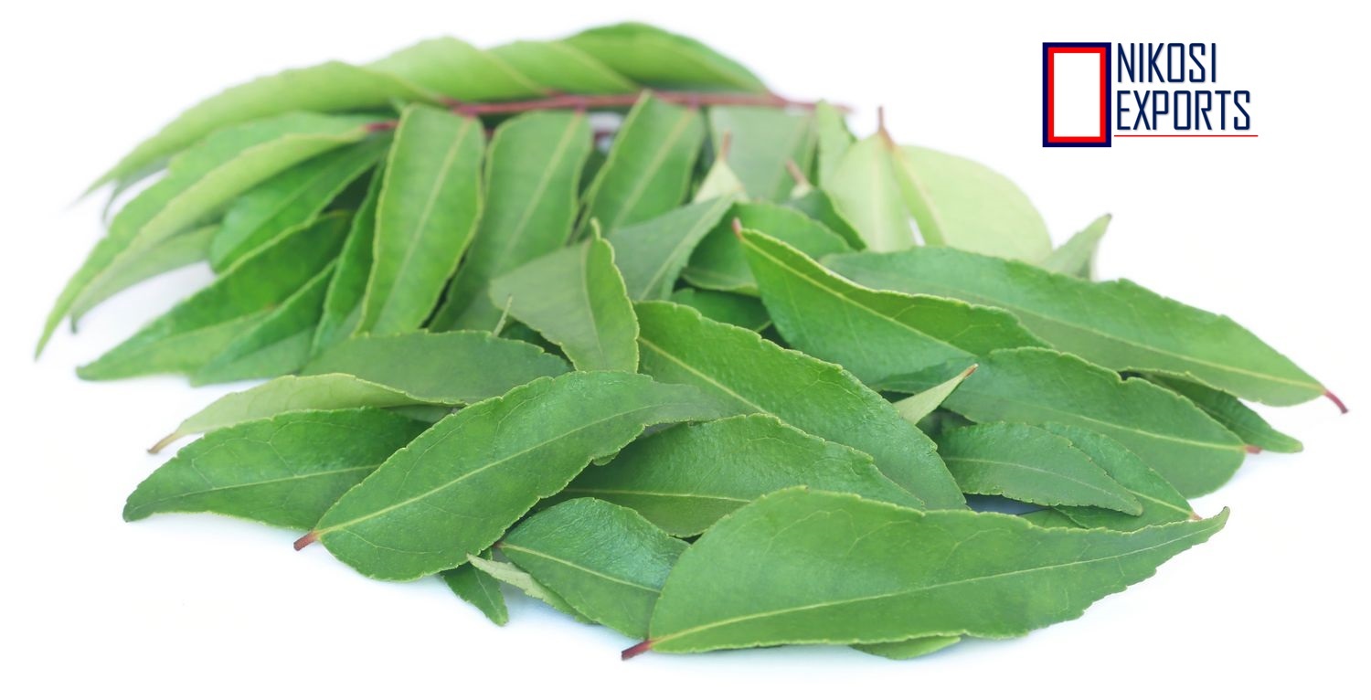 Organic Curry Leaf Shelf Life: 1 Week