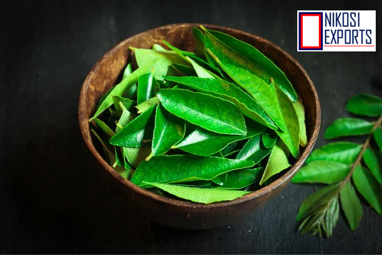 Organic Curry Leaf Shelf Life: 1 Week